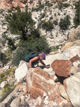 Cottonwood Canyon Road - UT