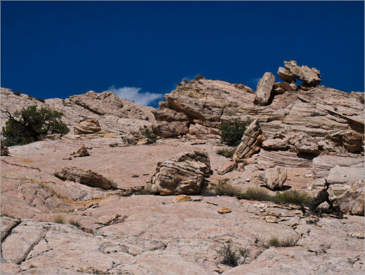 Cottonwood Canyon Road - UT