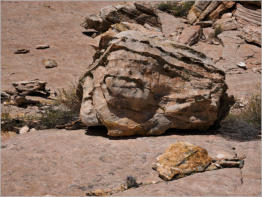 Cottonwood Canyon Road - UT