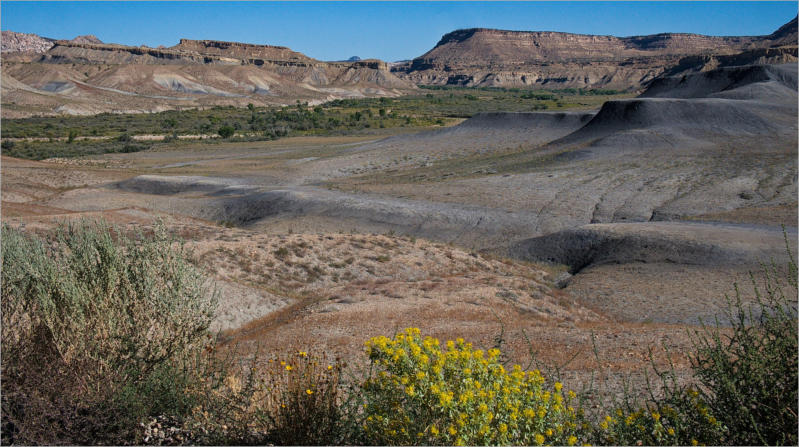Cottonwood Canyon Road - UT