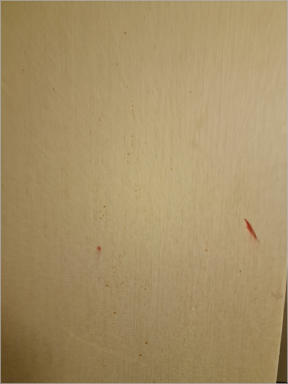 Flamingo Hotel - Las Vegas, NV