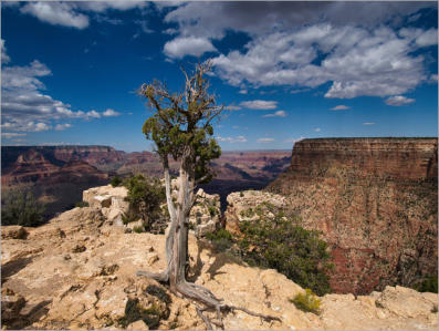 Grand Canyon National Park, Arizona