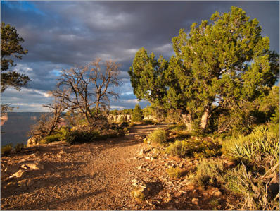 Grand Canyon South Rim - Hermits Rest Route