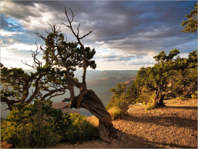 Grand Canyon South Rim - Hermits Rest Route