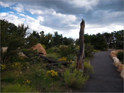 Grand Canyon South Rim - Hermits Rest Route