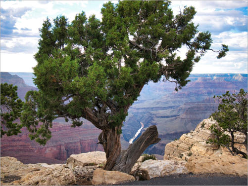 Grand Canyon South Rim - Hermits Rest Route