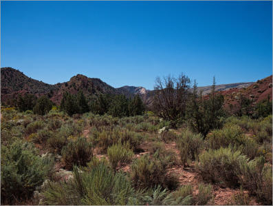 House Rock Valley Road - Duenen, UT