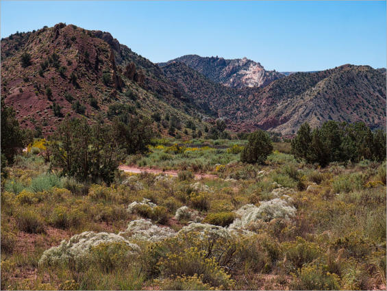 House Rock Valley Road - Duenen, UT
