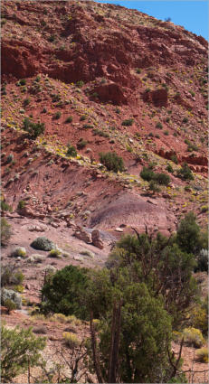 House Rock Valley Road - Duenen, UT