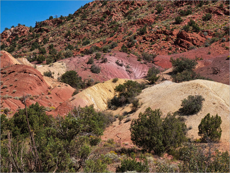 House Rock Valley Road - Duenen, UT