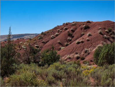 House Rock Valley Road - Duenen, UT