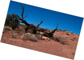 House Rock Valley Road - Duenen, UT