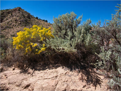 House Rock Valley Road - Upper Buckskin Wanderung, UT