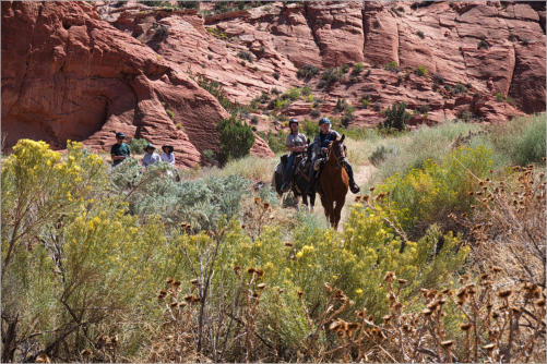 House Rock Valley Road - Upper Buckskin Wanderung, UT