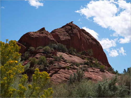 House Rock Valley Road - Upper Buckskin Wanderung, UT