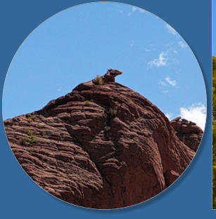 House Rock Valley Road - Upper Buckskin Wanderung, UT