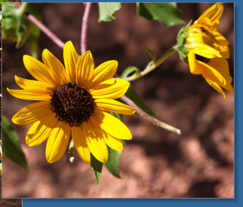 House Rock Valley Road - Upper Buckskin Wanderung, UT