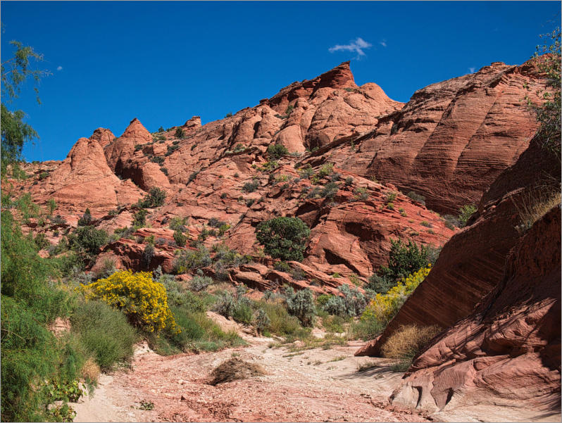 House Rock Valley Road - Upper Buckskin Wanderung, UT