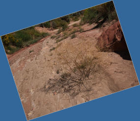 House Rock Valley Road - Upper Buckskin Wanderung, UT