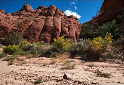 House Rock Valley Road - Upper Buckskin Wanderung, UT