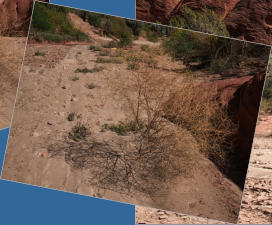 House Rock Valley Road - Upper Buckskin Wanderung, UT