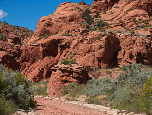 House Rock Valley Road - Upper Buckskin Wanderung, UT