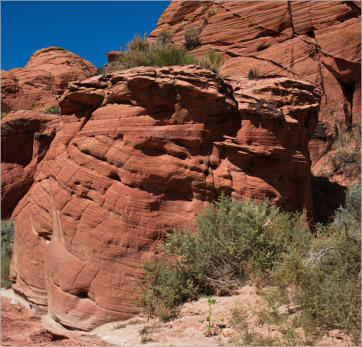 House Rock Valley Road - Upper Buckskin Wanderung, UT
