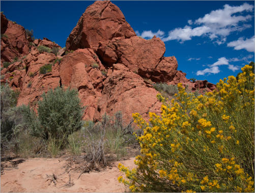 House Rock Valley Road - Upper Buckskin Wanderung, UT