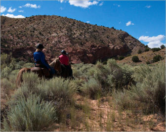 House Rock Valley Road - Upper Buckskin Wanderung, UT