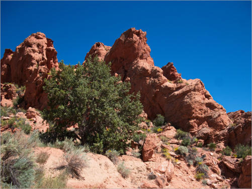 House Rock Valley Road - Upper Buckskin Wanderung, UT