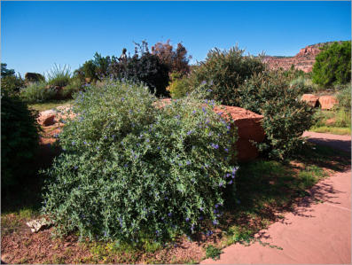 Levi Stewart Memorial Park, Kanab, UT