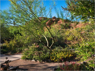 Red Hills Desert Garden - St. George, UT