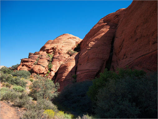 Snow Canyon State Park, UT - Butterfly Trail