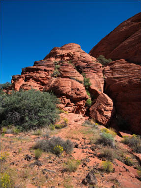 Snow Canyon State Park, UT - Butterfly Trail