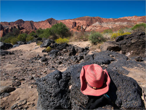 Snow Canyon State Park, UT - Butterfly Trail