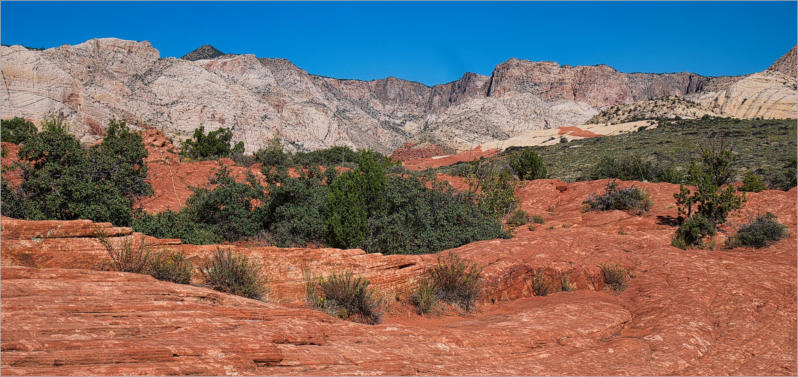 Snow Canyon State Park, UT - Petrified Dunes Trail 