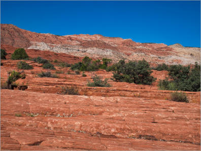 Snow Canyon State Park, UT - Petrified Dunes Trail 