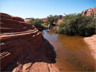 Snow Canyon State Park, UT - Petrified Dunes Trail 