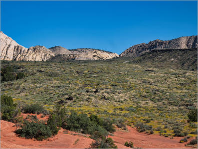 Snow Canyon State Park, UT - Petrified Dunes Trail