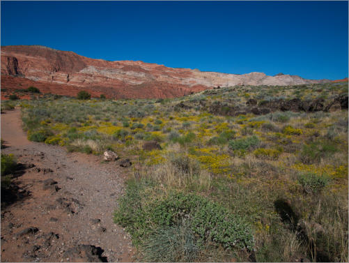 Snow Canyon State Park, UT - Petrified Dunes Trail 