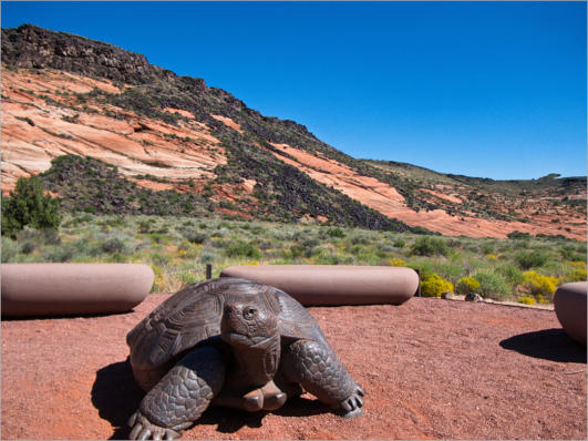 Snow Canyon State Park, UT - Tortoise Walk