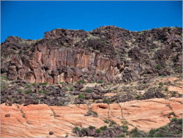 Snow Canyon State Park, UT - Tortoise Walk
