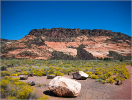 Snow Canyon State Park, UT - Tortoise Walk