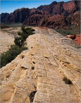 Snow Canyon State Park, UT - Whiterocks Trail