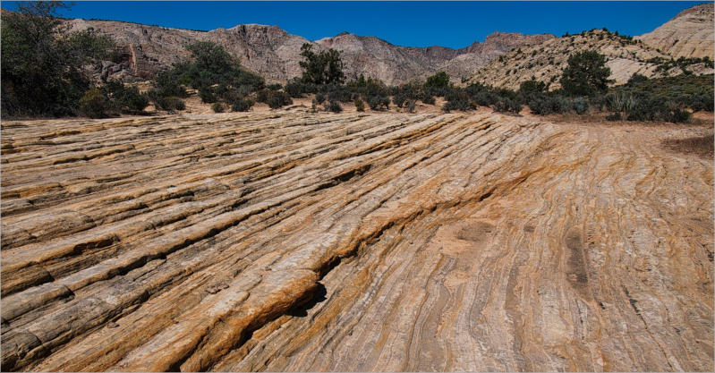Snow Canyon State Park, UT - Whiterocks Trail