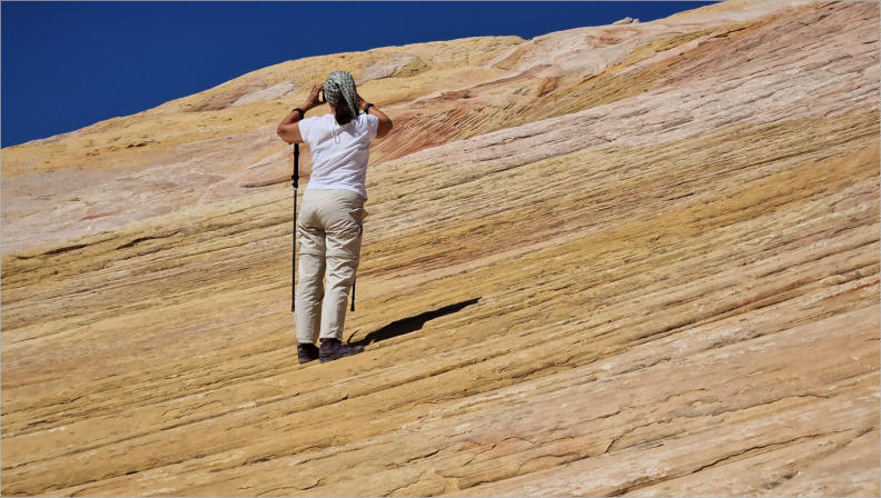 Yellow Rock an der Cottonwood Canyon Road, UT