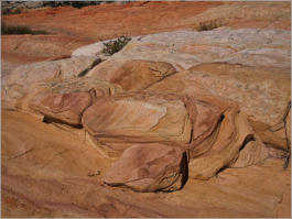 Yellow Rock an der Cottonwood Canyon Road, UT
