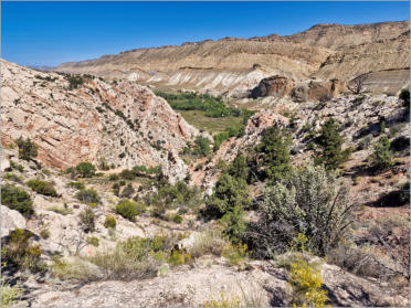 Yellow Rock an der Cottonwood Canyon Road, UT