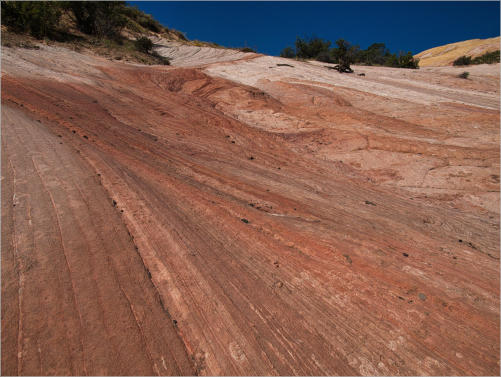 Yellow Rock an der Cottonwood Canyon Road, UT