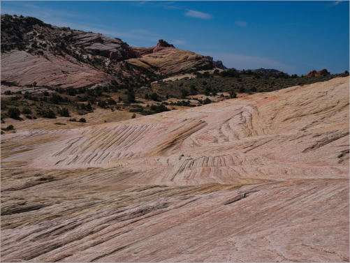 Yellow Rock an der Cottonwood Canyon Road, UT